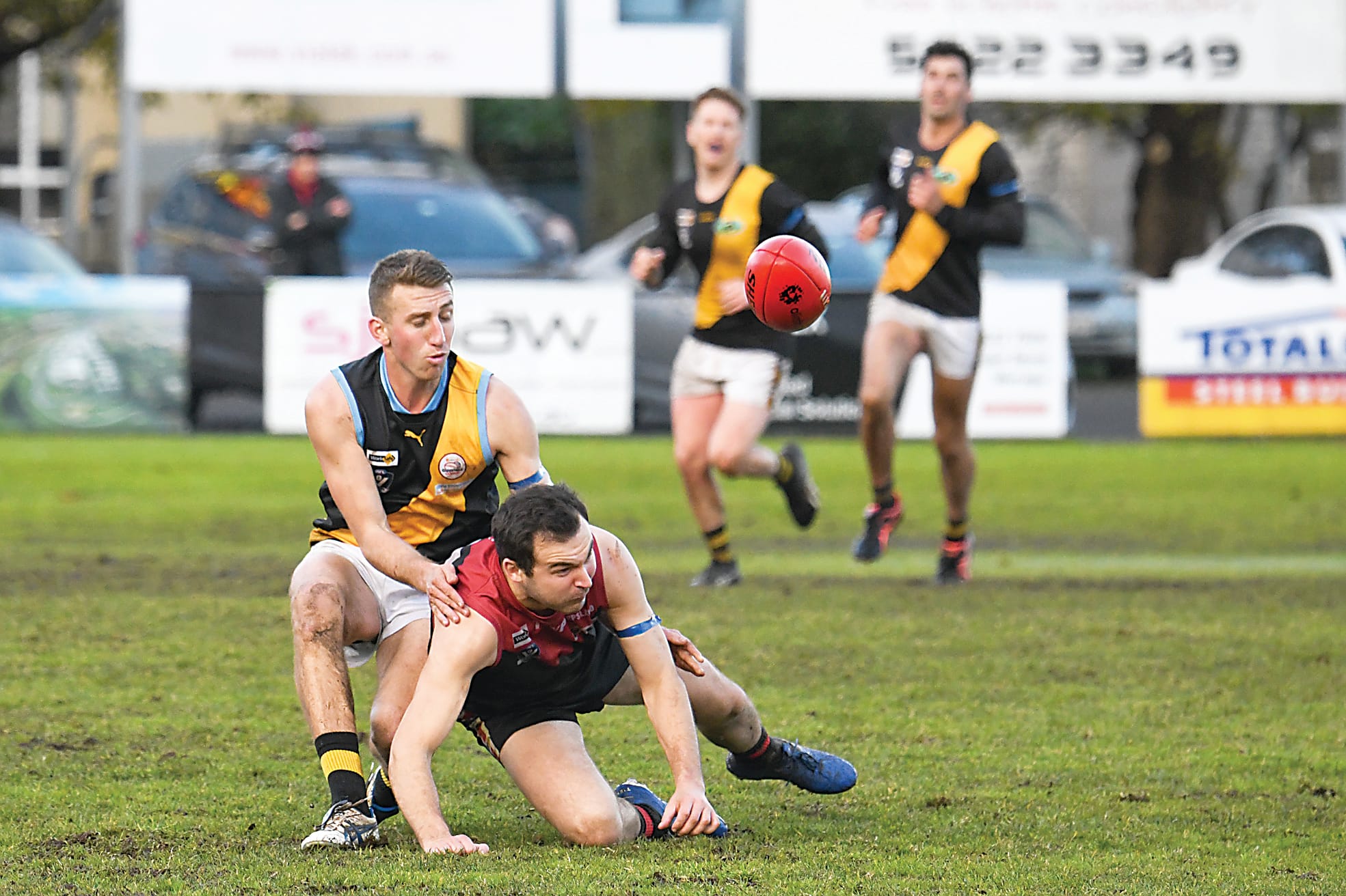 Gulls look to go two from two against Tigers