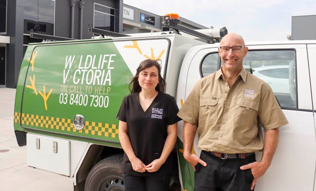 Wildlife Vic Vets - 19.12.2023