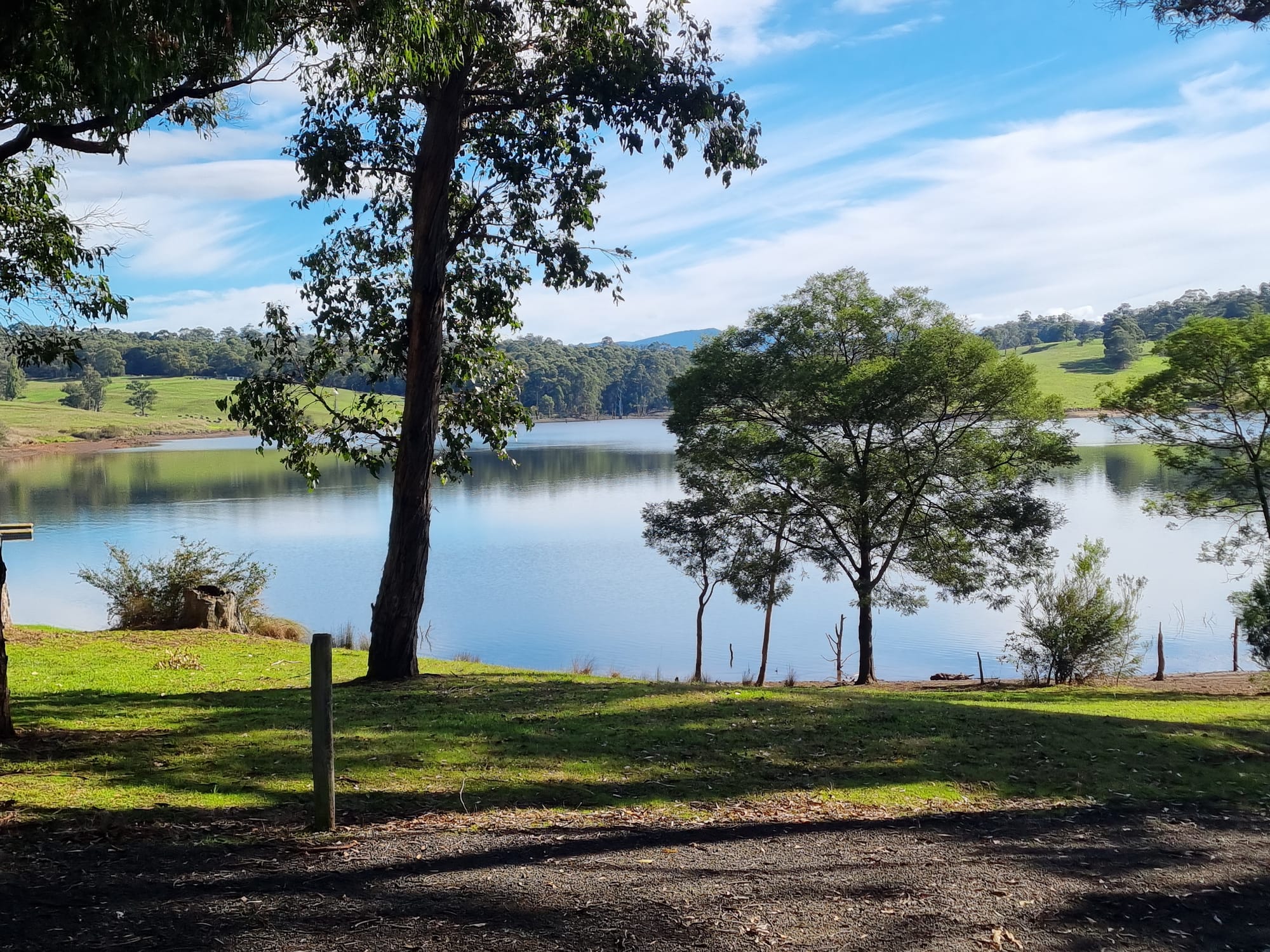 Community festival celebrates environment