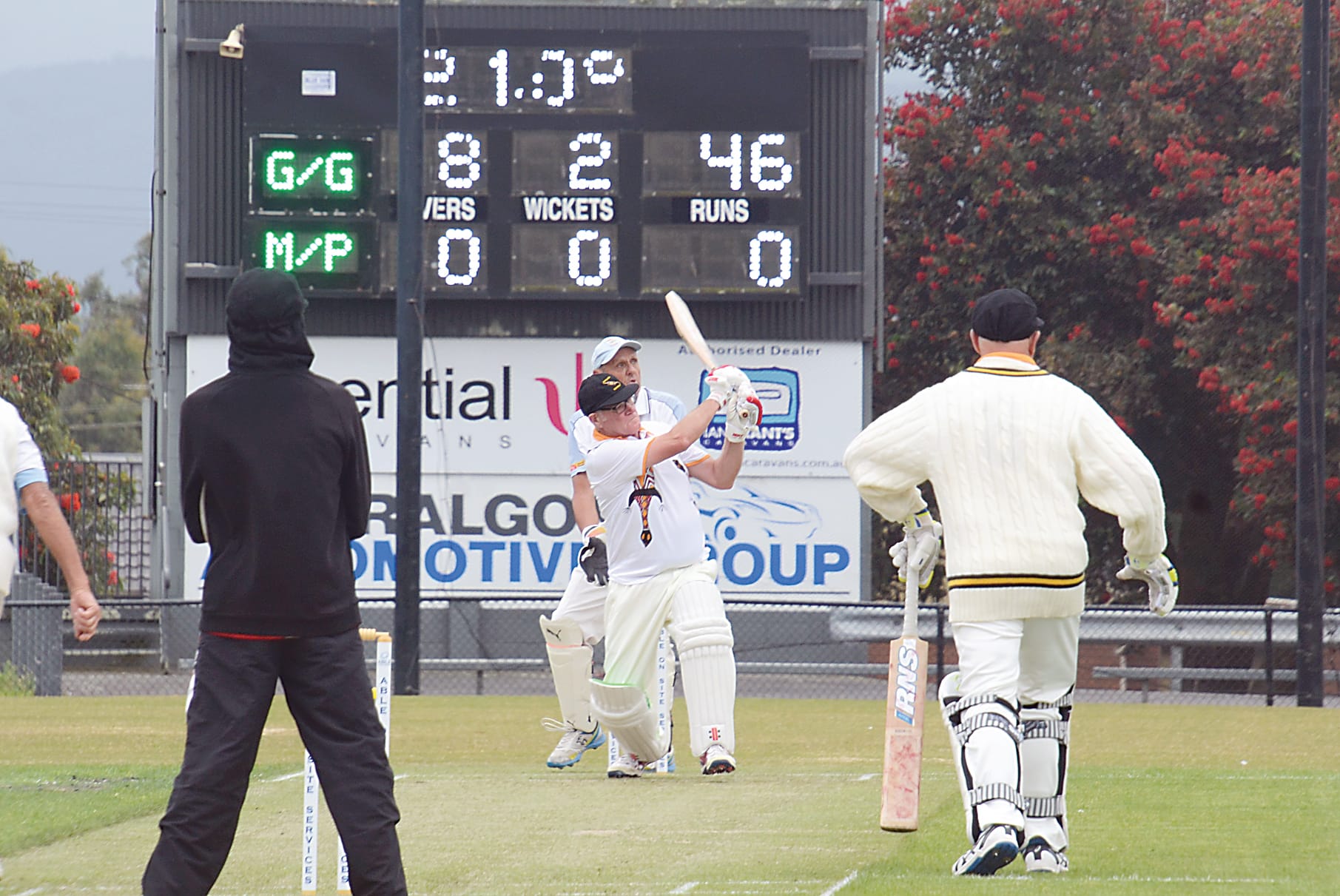 Goannas move past Mornington