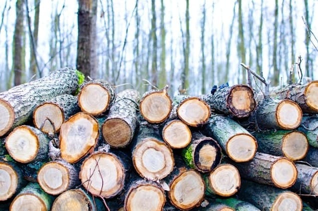 Firewood collection now open