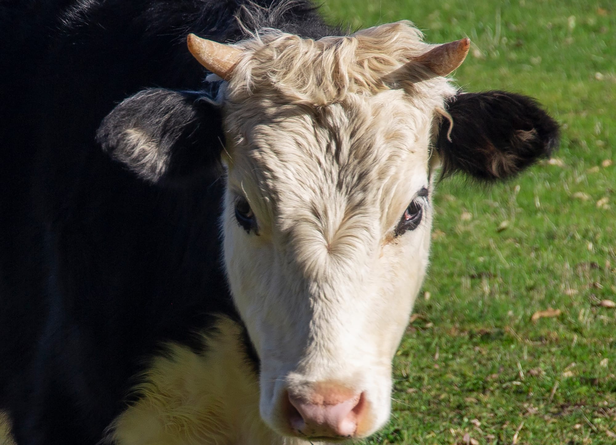 Strong prices lead to positive outlook