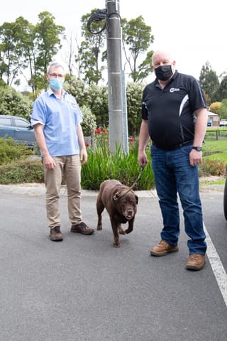 Vets Pet Care- 14.10.2021