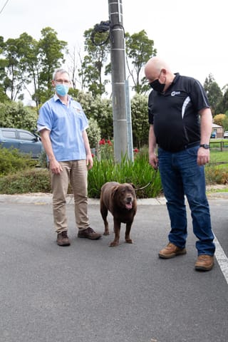 Vets Pet Care- 14.10.2021 