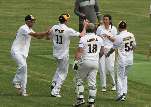 Cricket Div 4 - Jindivick Vs. Western Park - 04.11.2023