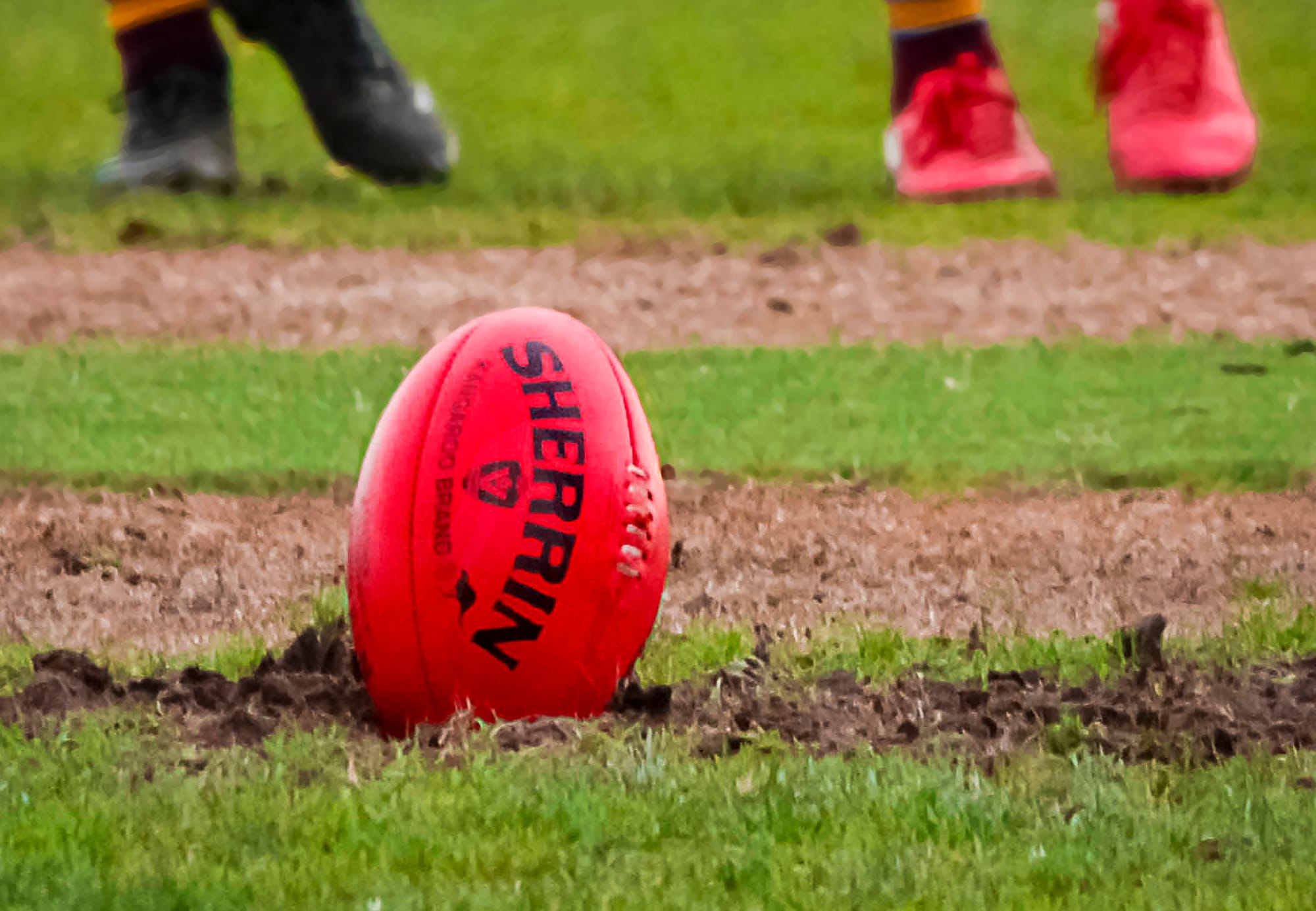 Hazendonk's haul propels Poowong