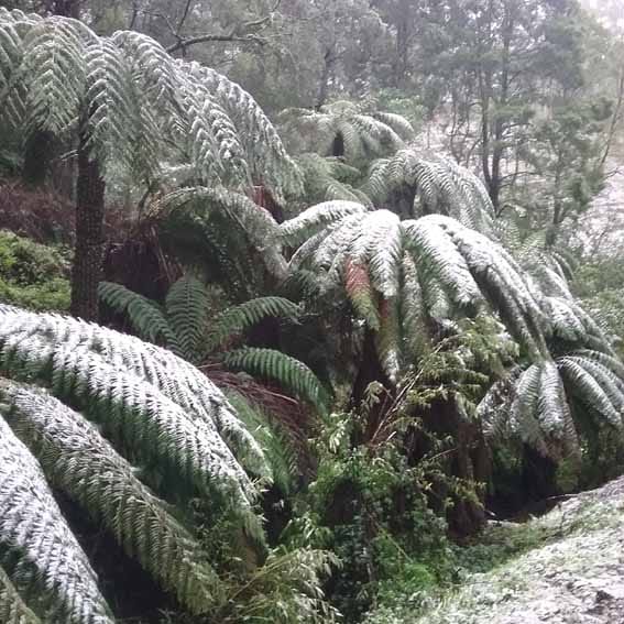 Snow on the hills