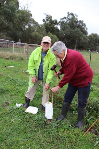 Tree Planting- 06.05.2021 
