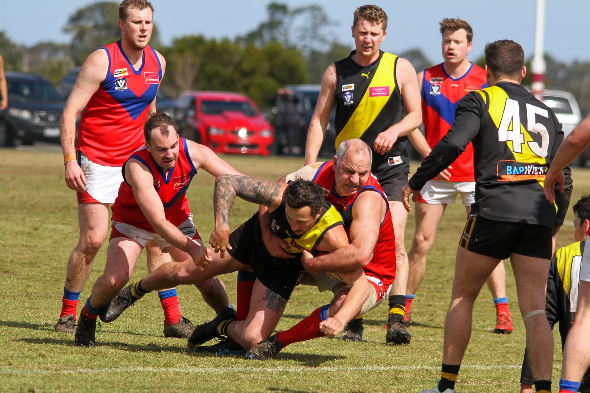 Tigers through to grand final