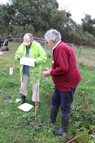 Tree Planting- 06.05.2021 