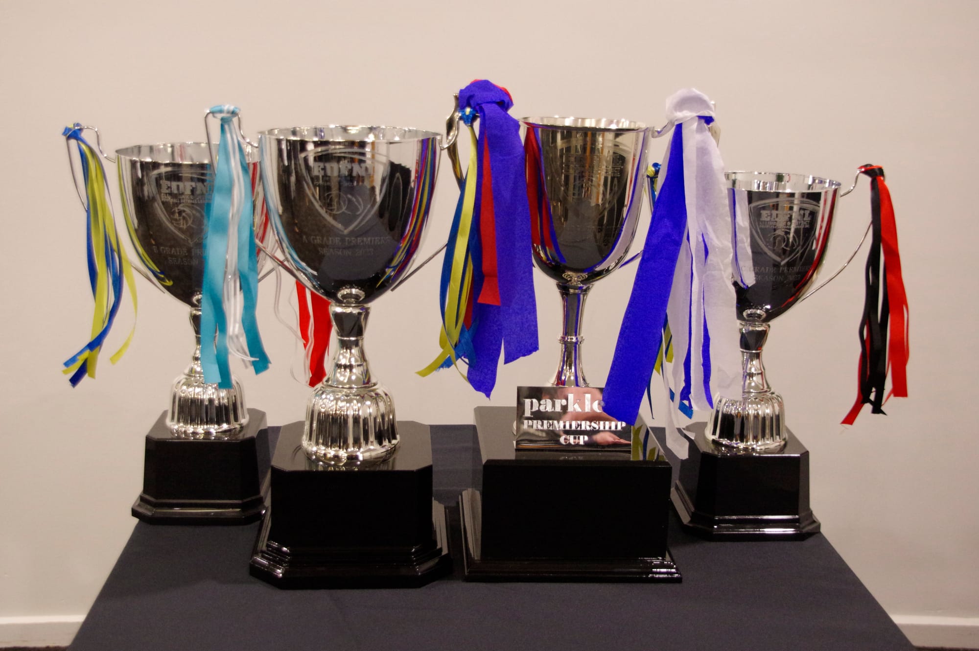 Netball cups up for grabs