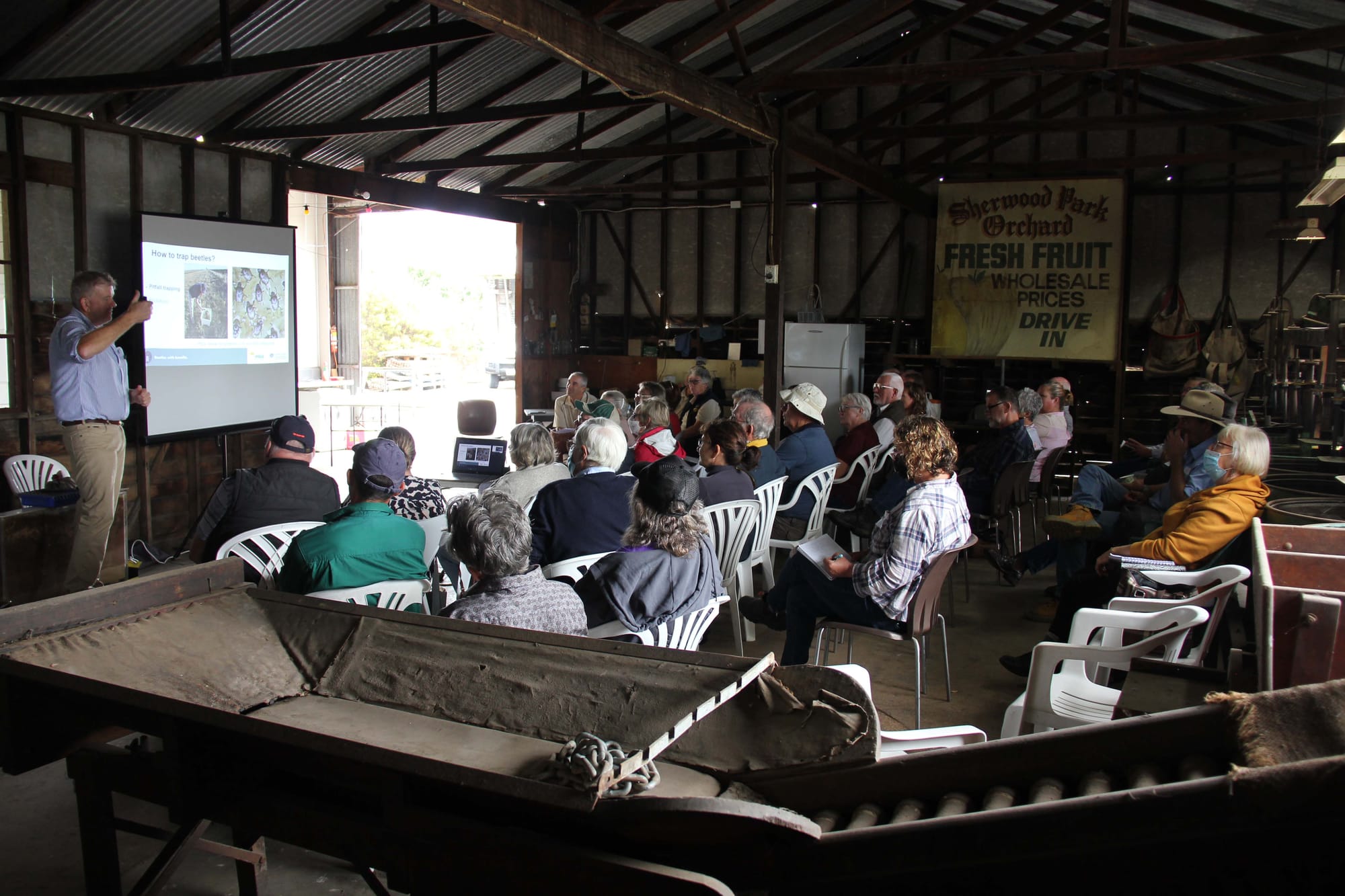 Dung Beetles - 15.03.2022