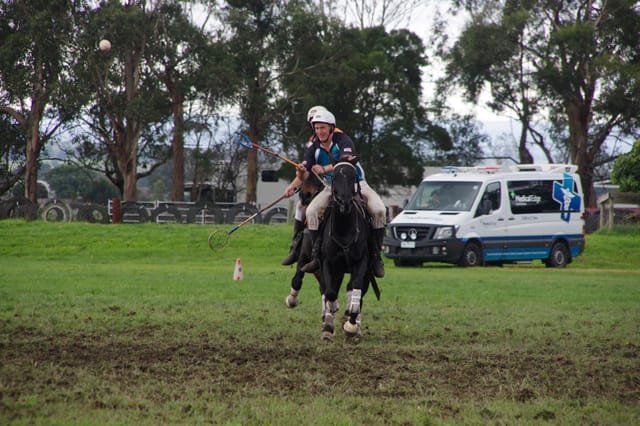 Trafalgar Polox - 2021 