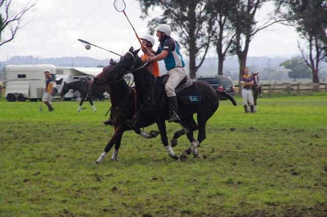 Trafalgar Polox - 2021 