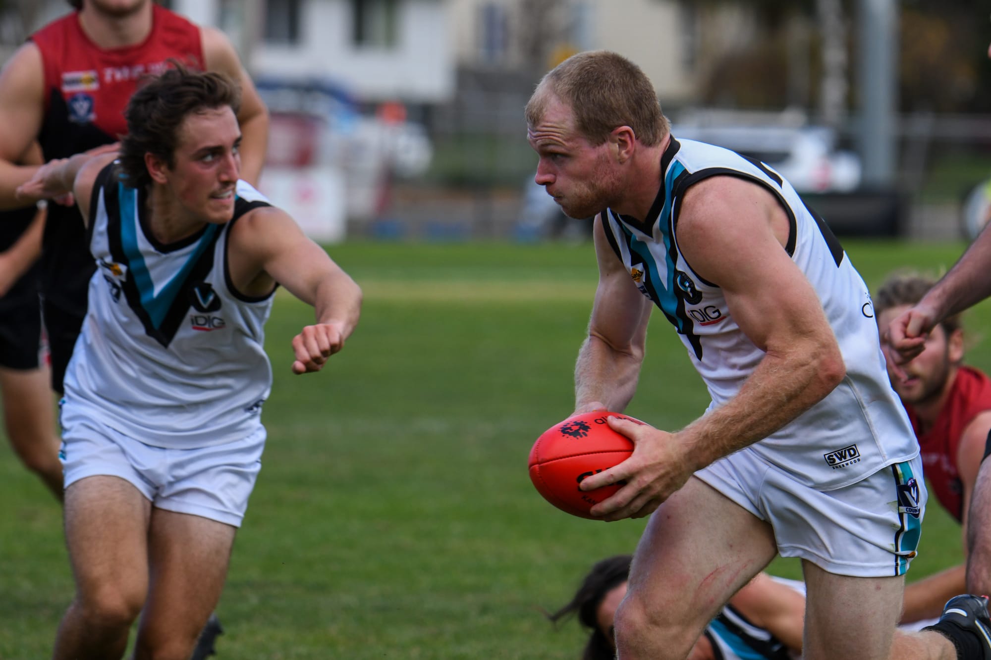 Parrots and Power playing off for grand final spot