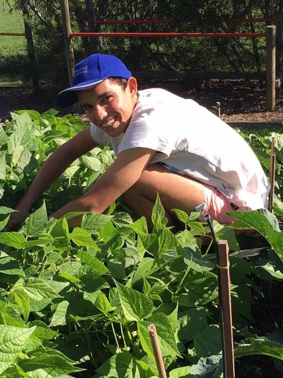 Jindivick student harvests for Zimbabwe