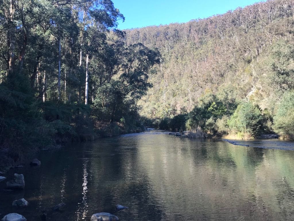 Coopers Creek - the town - sells