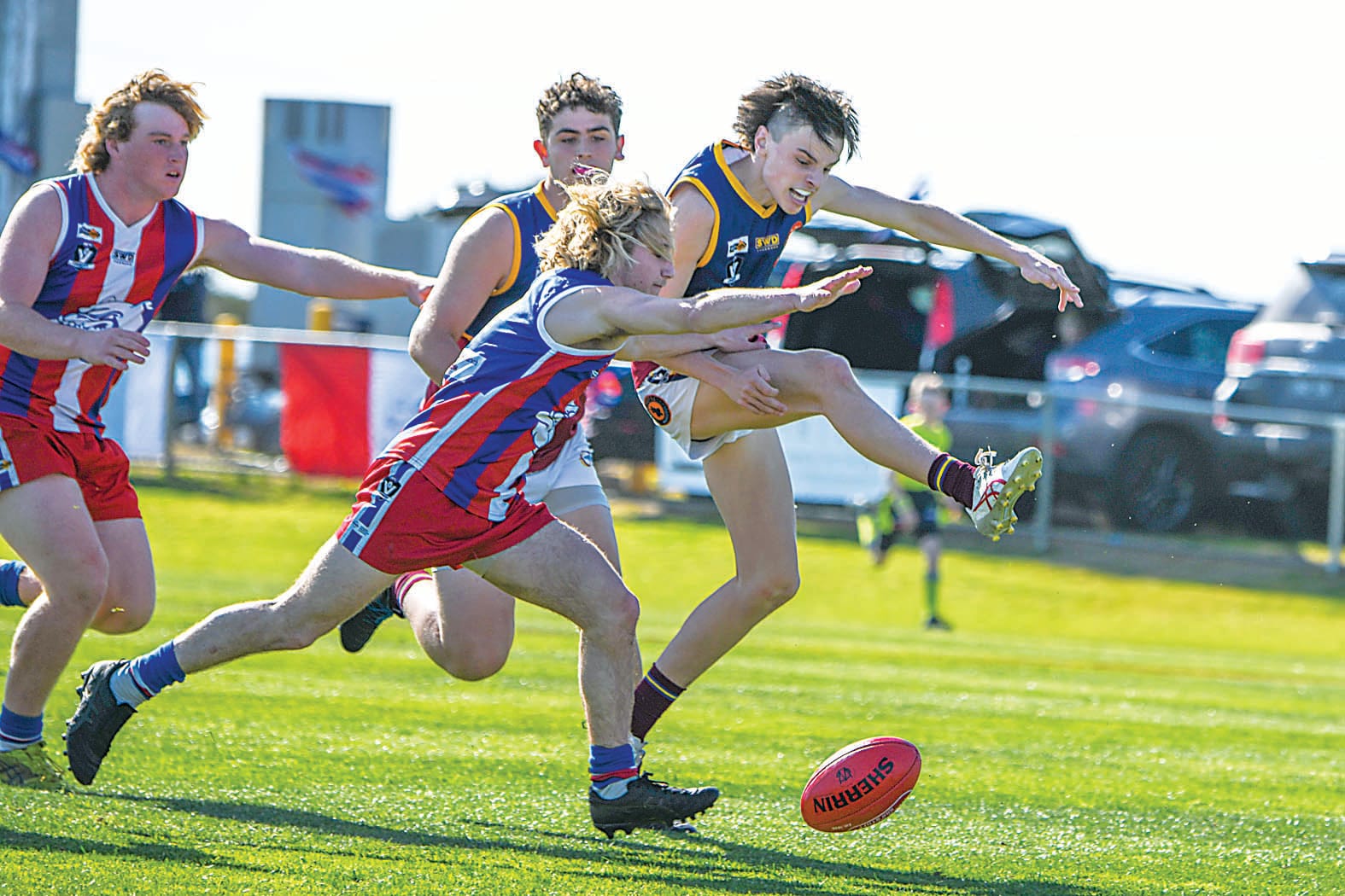 Dusties downed by brilliant Bulldogs