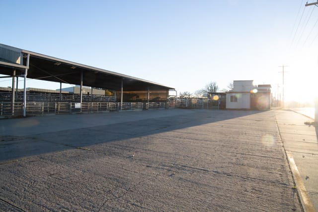 Sale Yards - 06.05.2021 