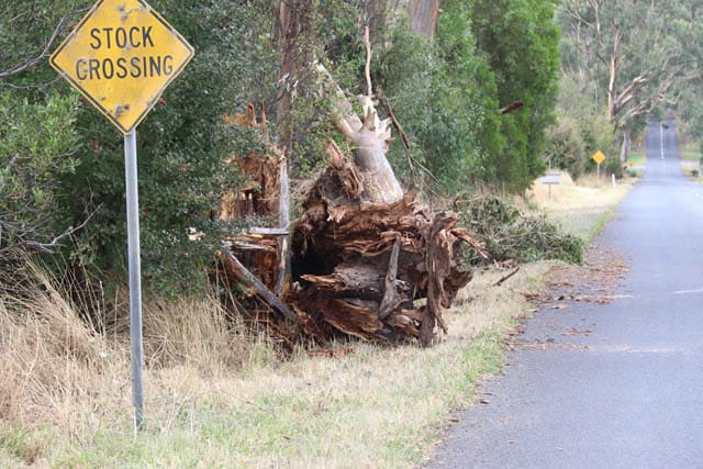 Storm Damage 20.02.2024