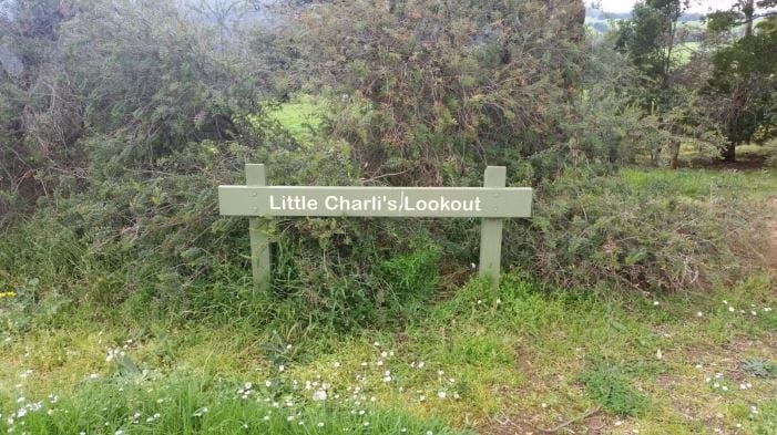 Do you approve of Little Charli?