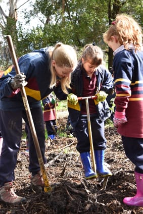 Students make a difference
