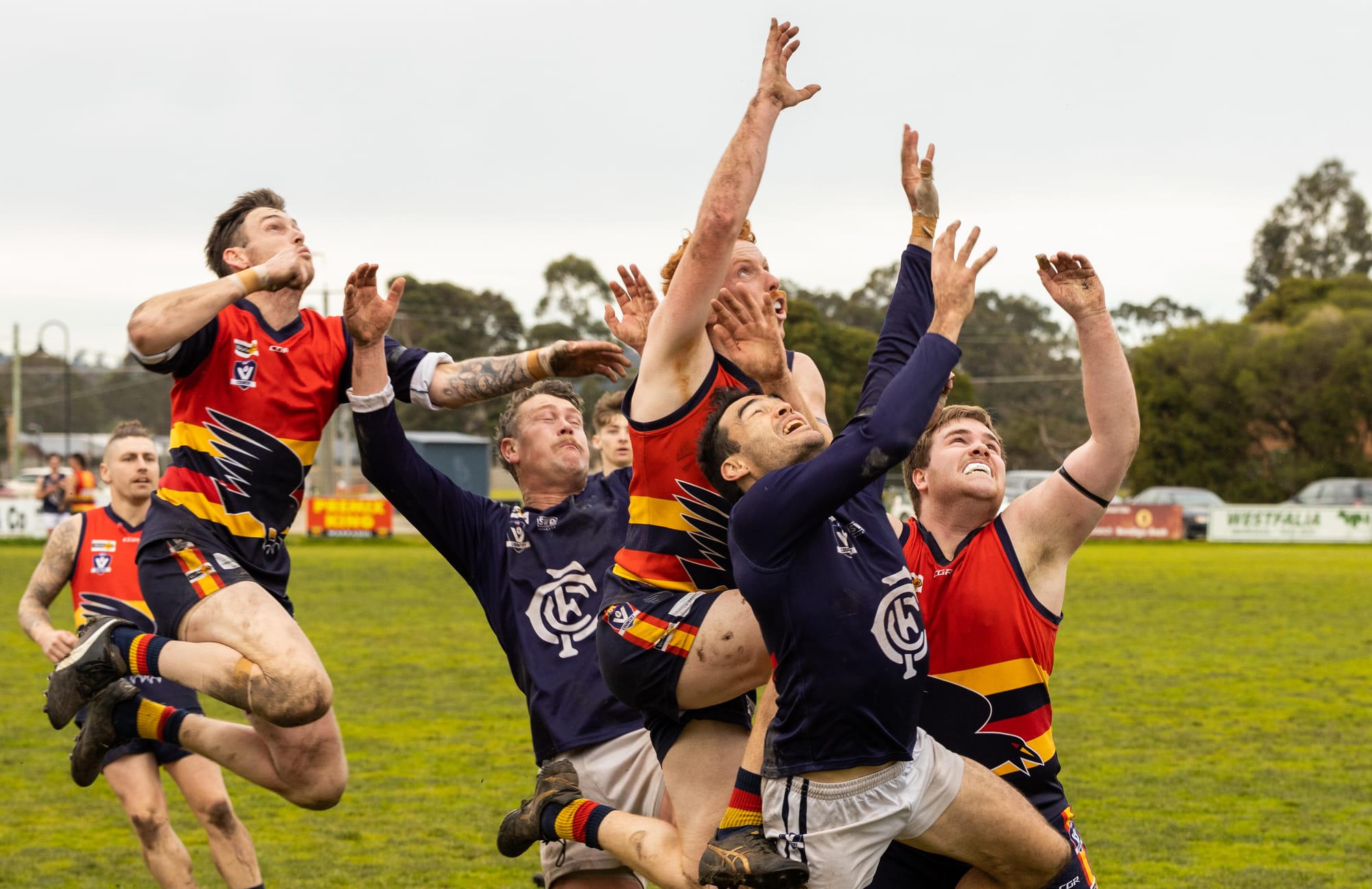 Yarragon set to host EDFNL grand final
