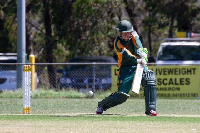 Cricket Div 1 Hallora Vs. Western Park 12.02.2022