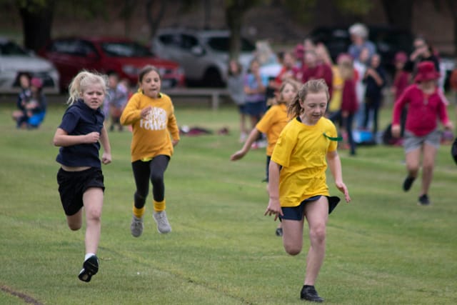 DWPS sports 