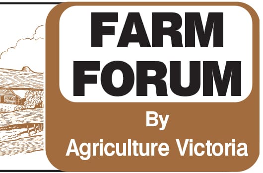 Pastures may need extra care after the wet spring