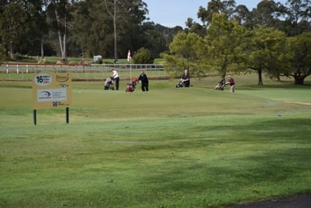 Golf club in distress