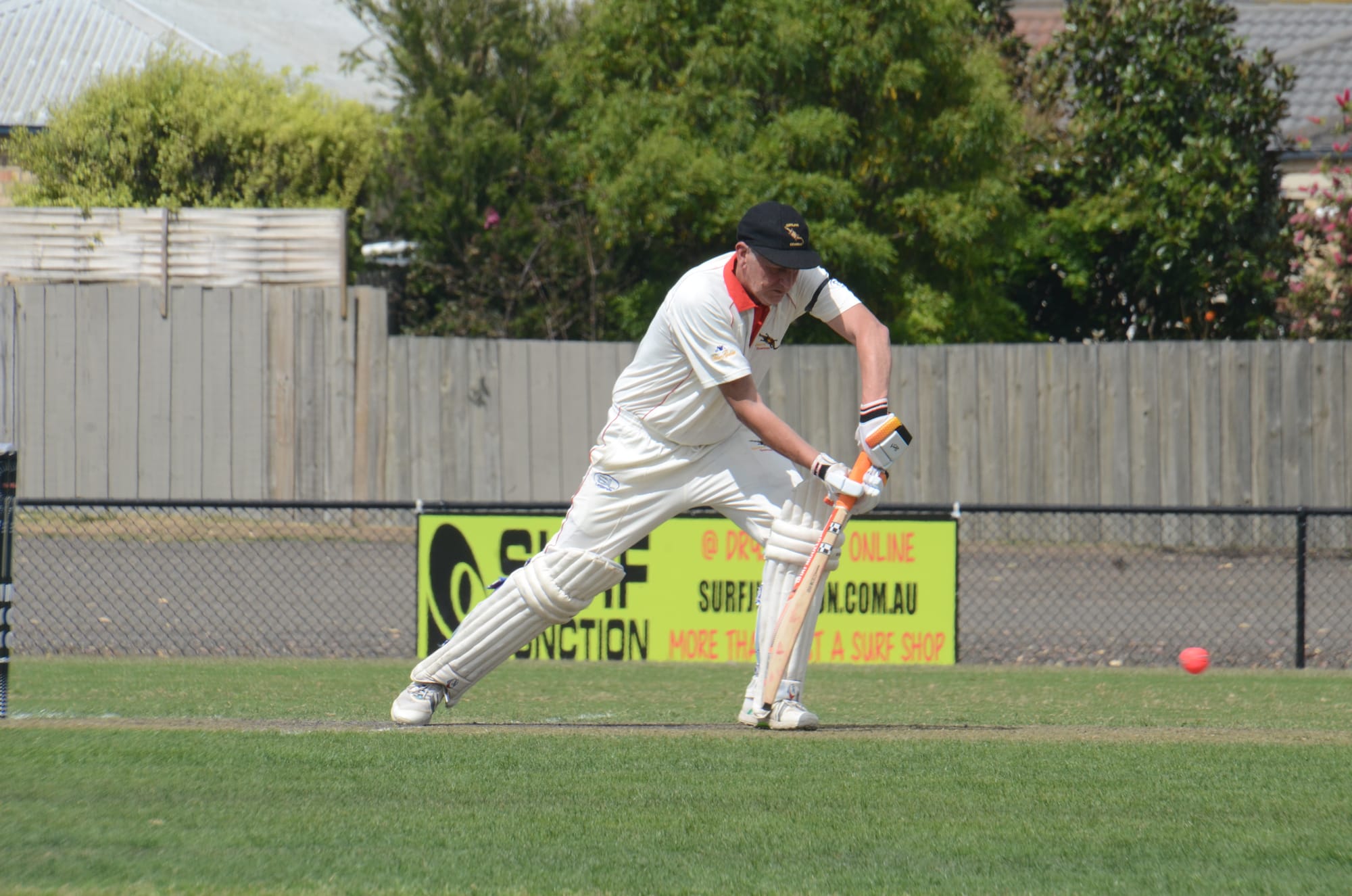 Mixed week for Goannas