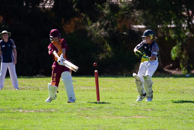 Cricket (U16's) Drouin Vs. Neerim District - 19.02.2022