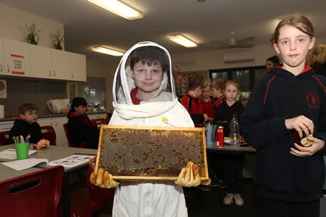 Nilma PS Bee Day - 29.06.2021 