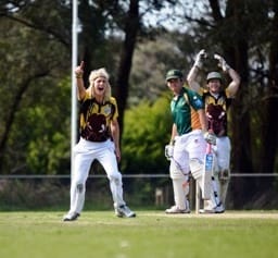 Cricket begins