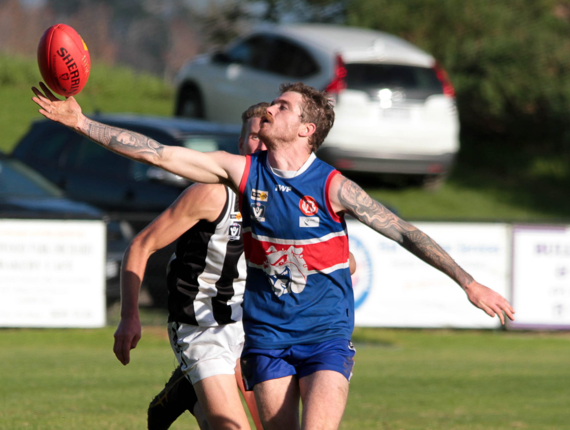 Brutal Bunyip back in the finals hunt