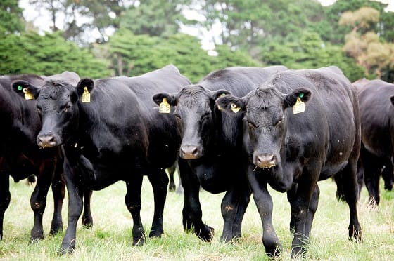 Update your PIC for tracing