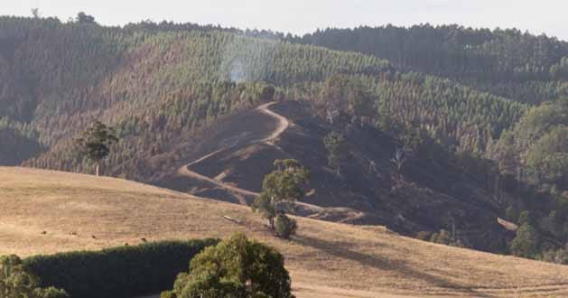 Bushfire under control