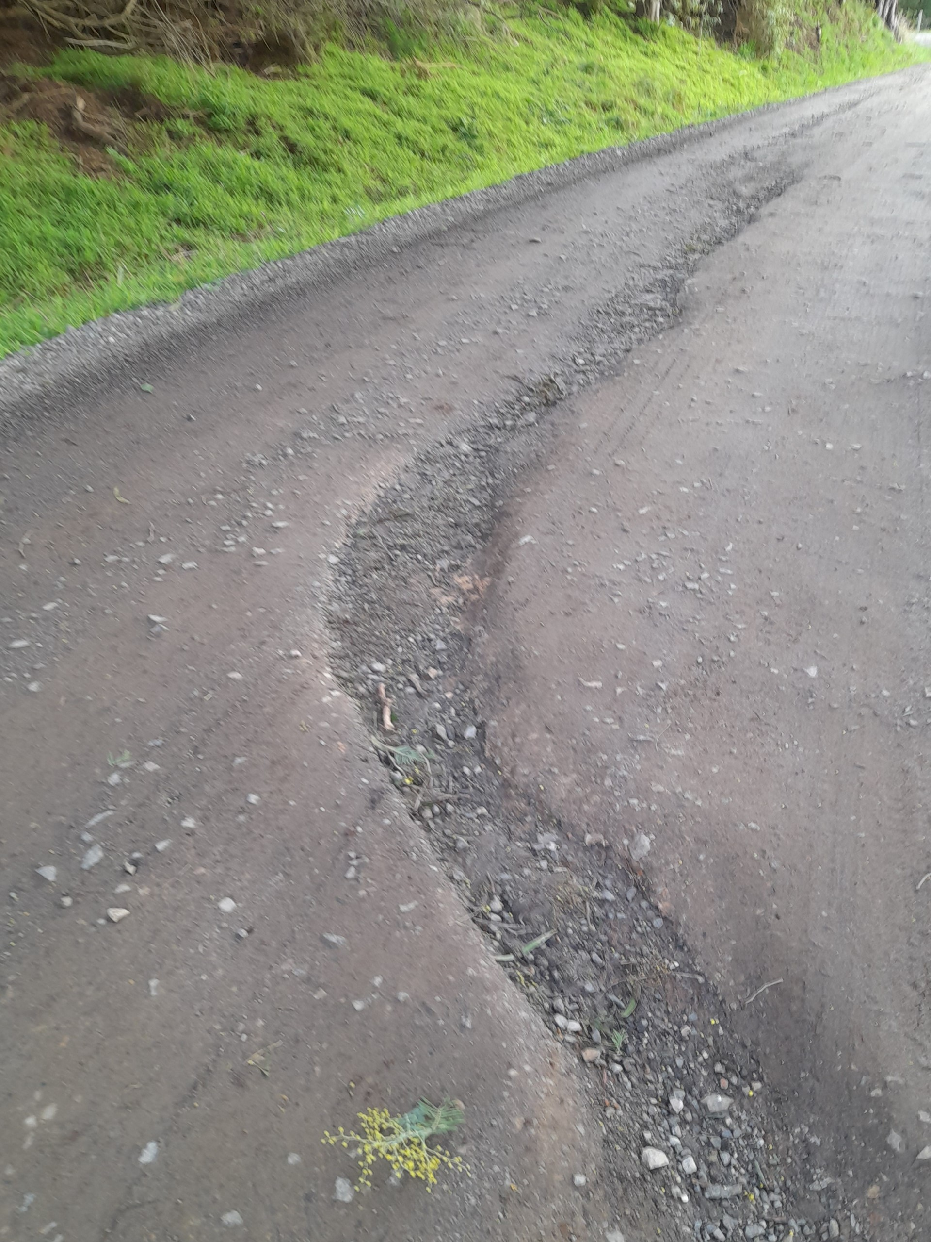 Complaints flow for local roads