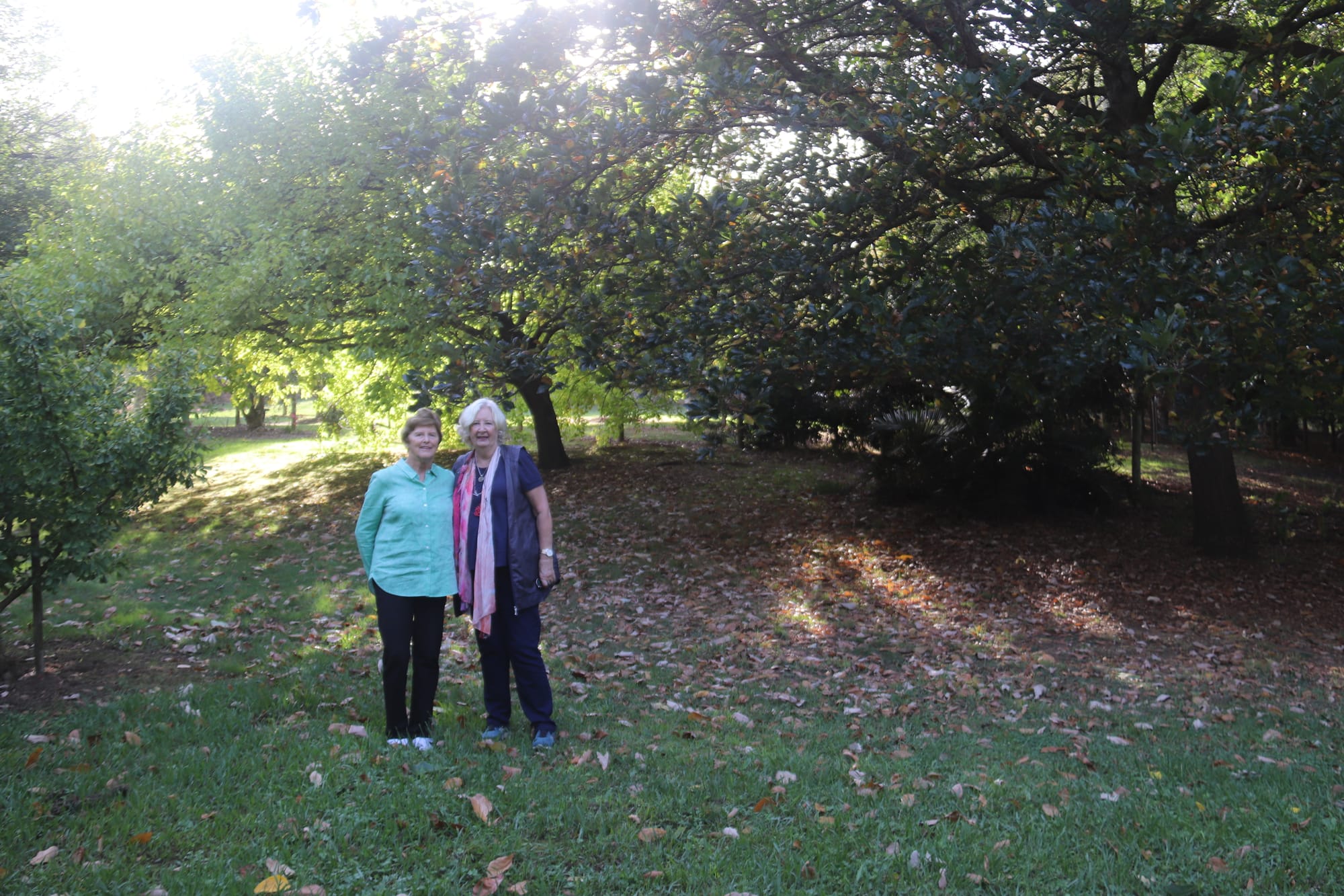 No park for Coromandel