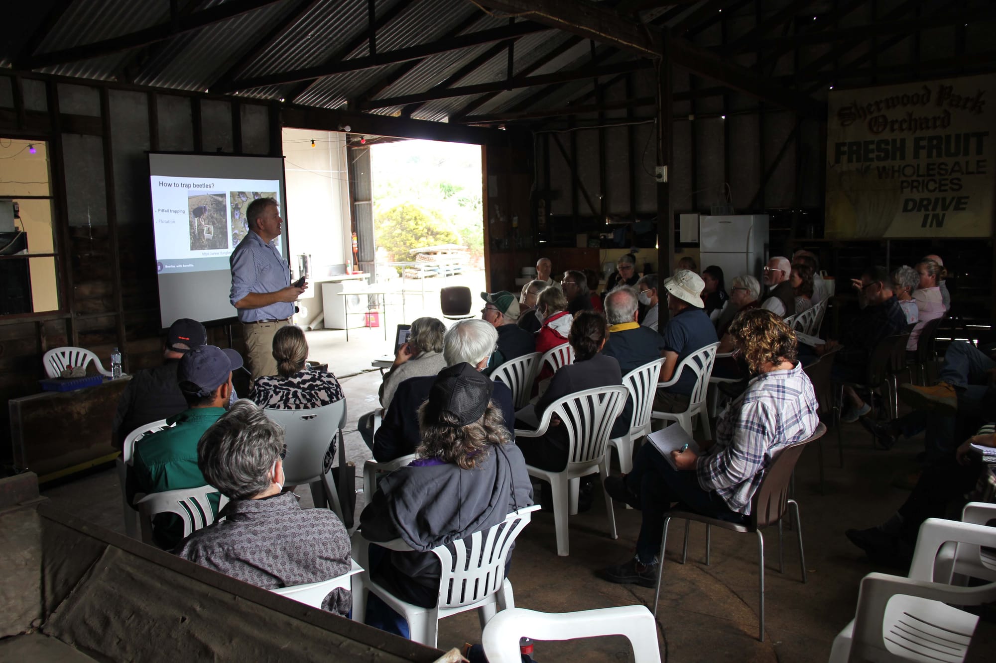 Dung Beetles - 15.03.2022