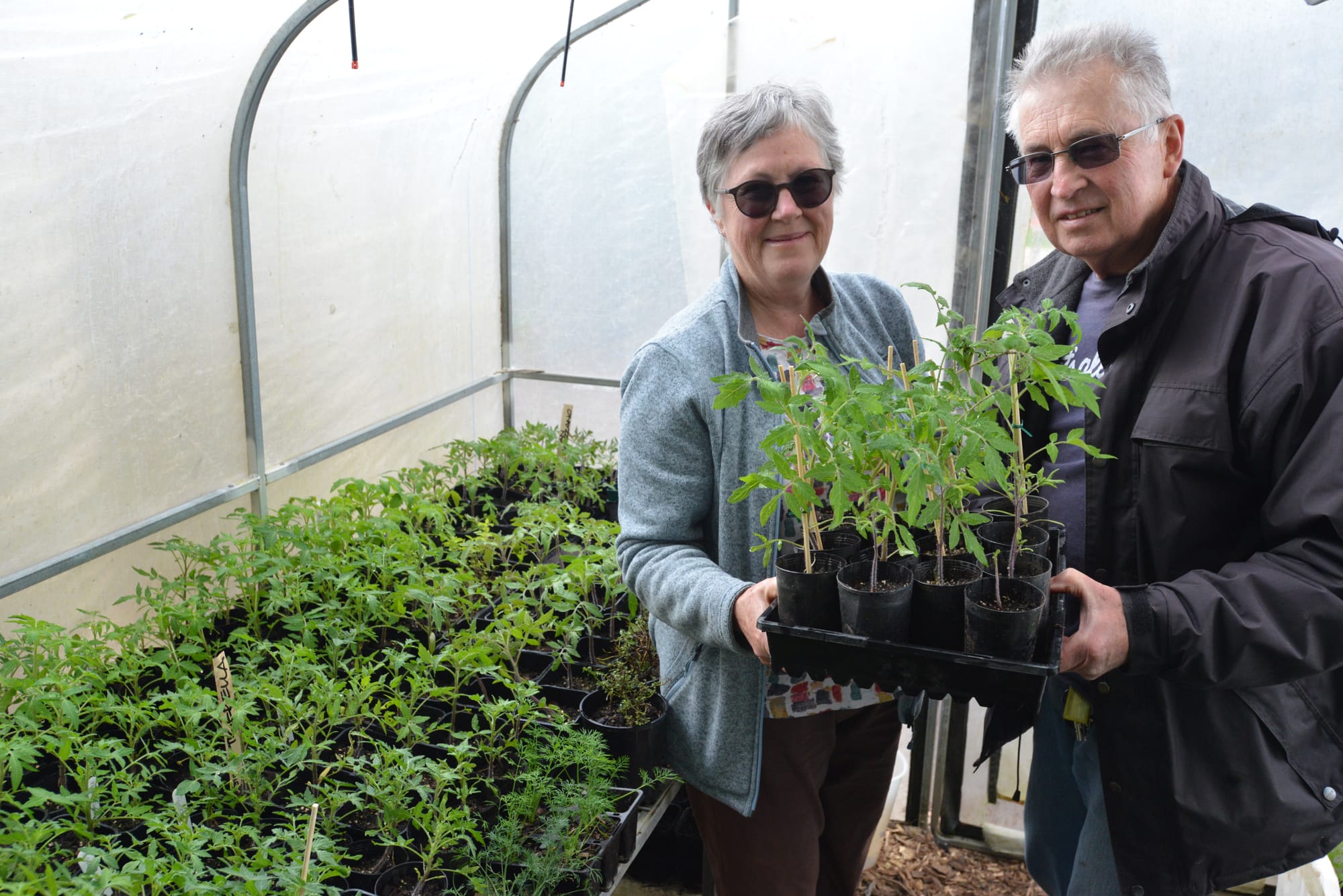 Marg Stammers and David Baylis undertake final preparations ahead of Warragul Community Garden's first plant sale on Melbourne Cup Day. A few hundred plants will be available at the Eastern Park garden.