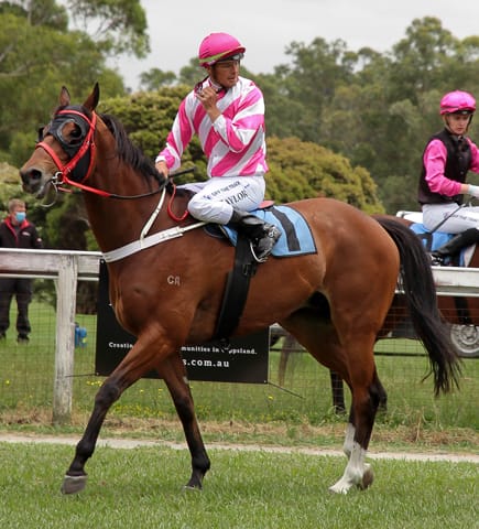 Drouin Boxing Day Races - 26.12.21