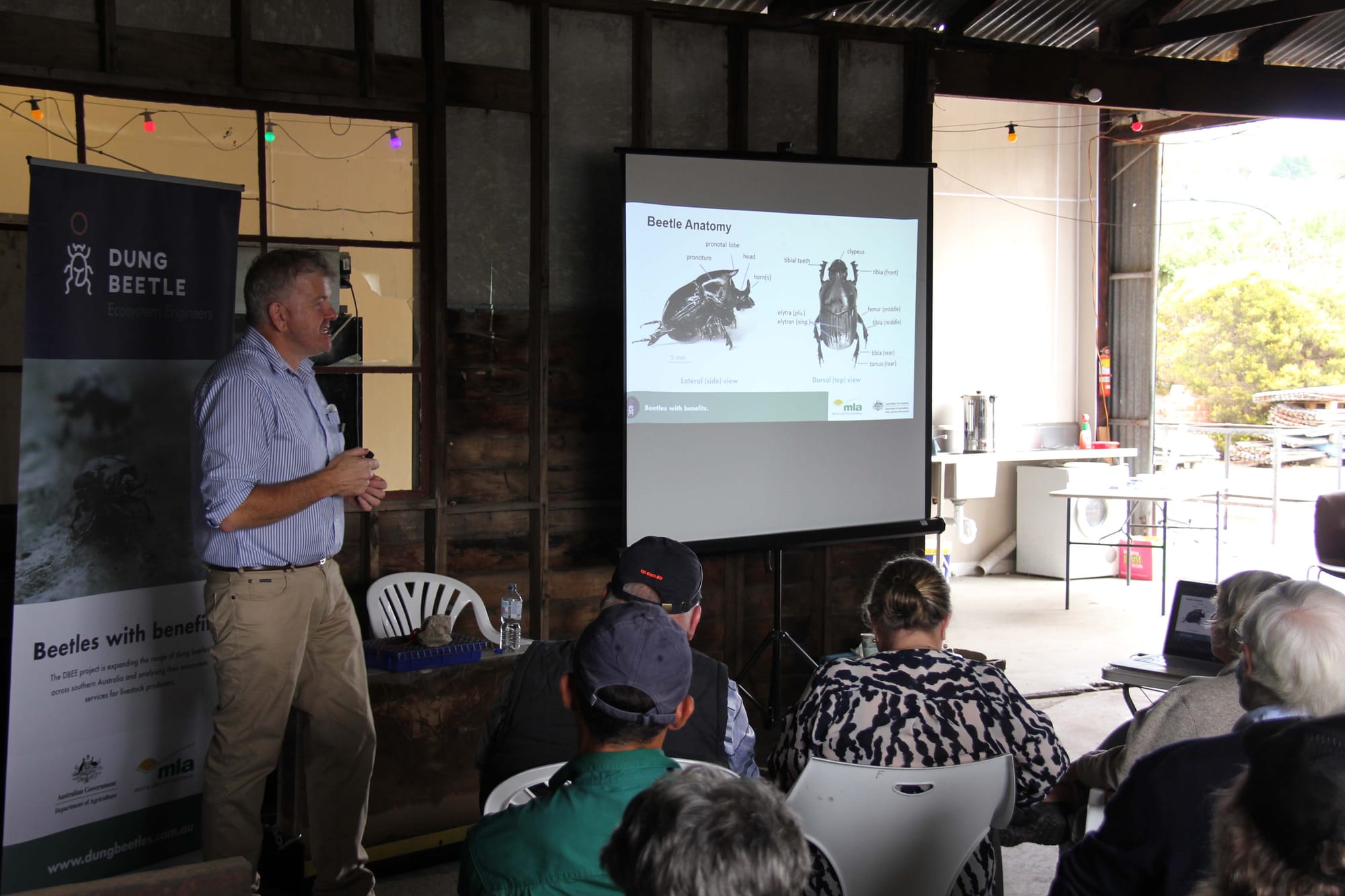 Dung Beetles - 15.03.2022