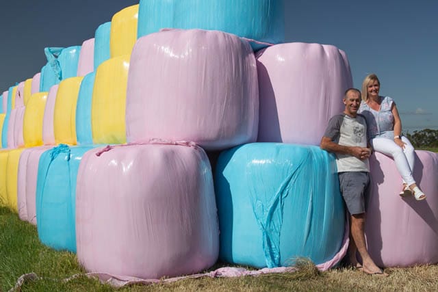 Coloured Silage Bales-12112020