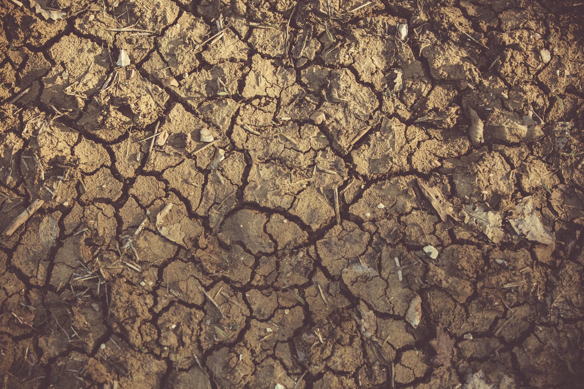 Funds to help Gippsland deal with drought