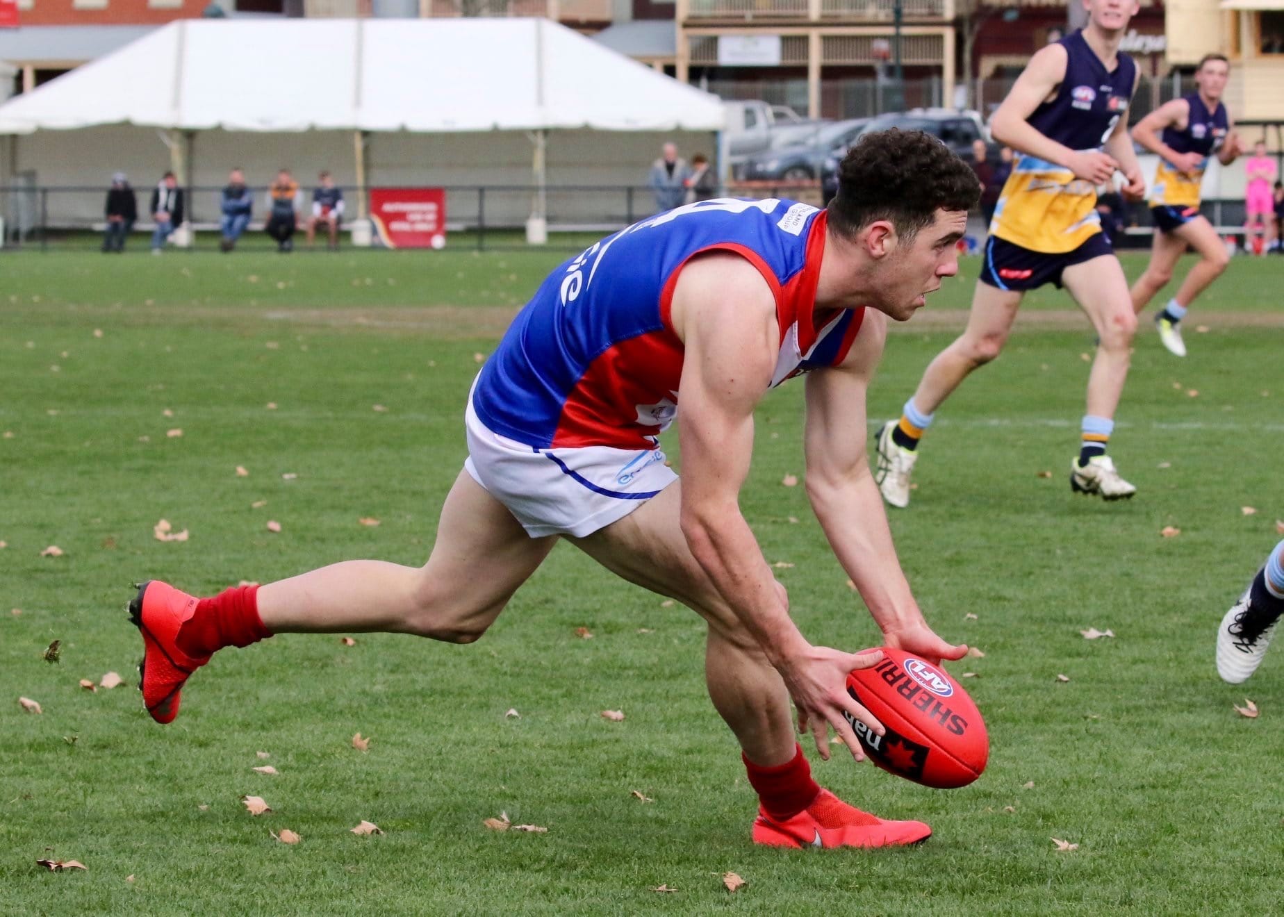 Land of the rising Sun