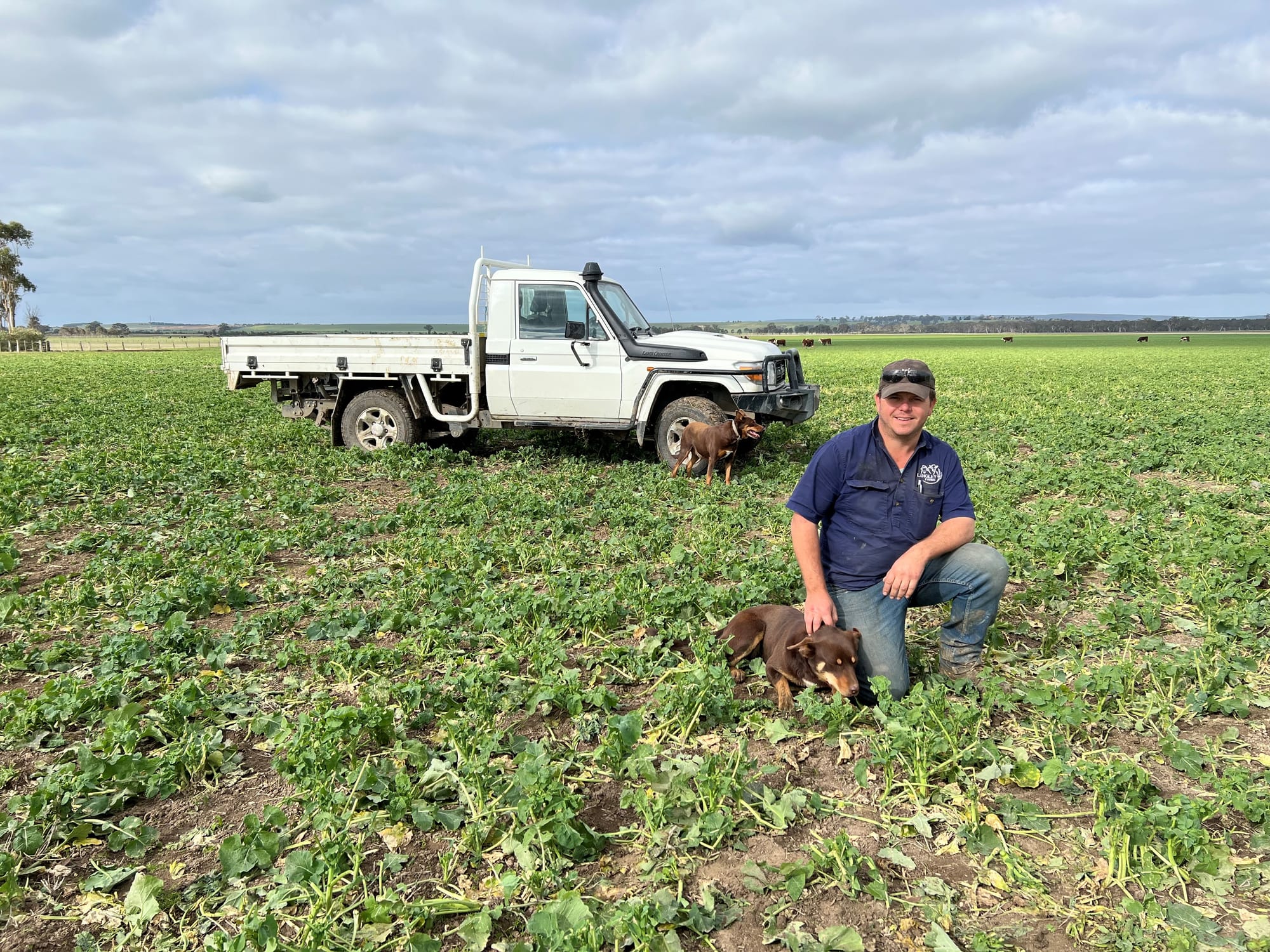 Young farmer focus for red meat conference