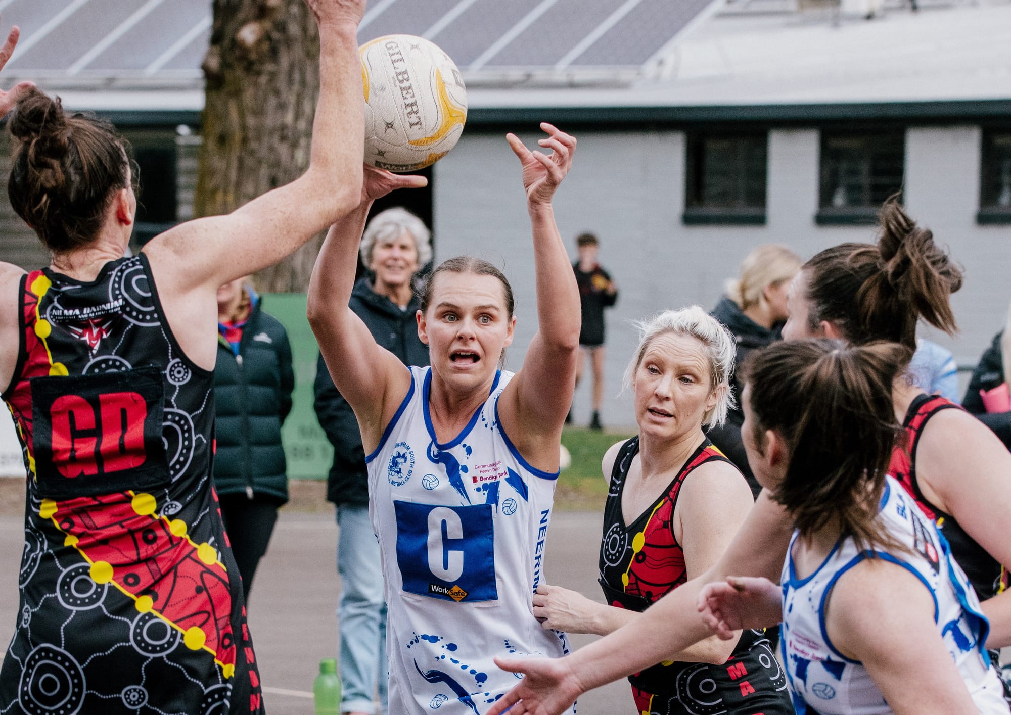 Cats to battle Bombers in grand final