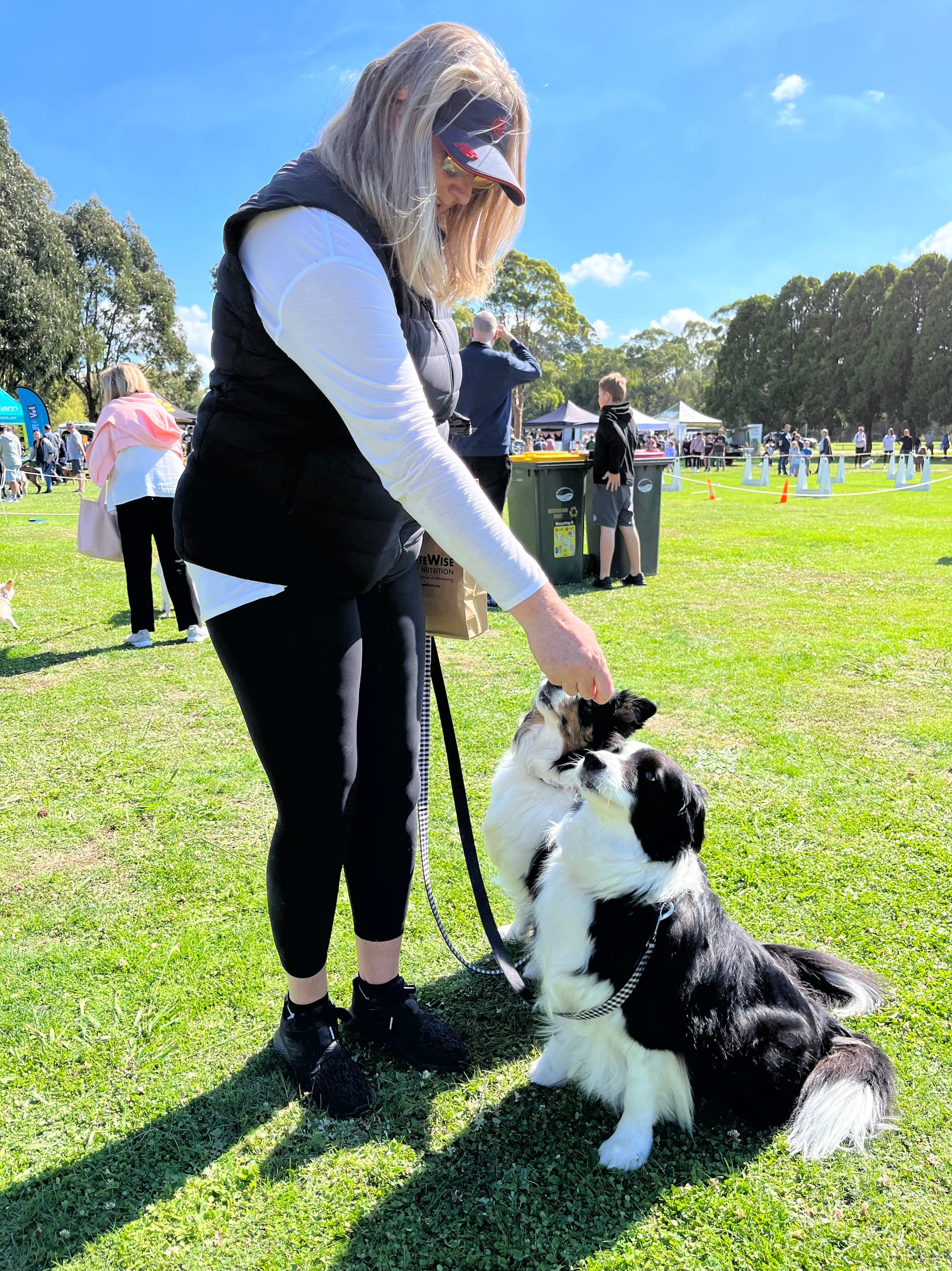 Di Phillips gives Border Collies Bella and Night some treats.